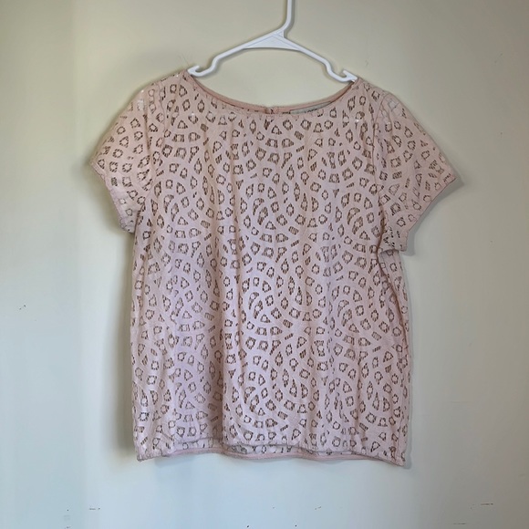 LOFT Tops - Ann Taylor LOFT Blush Pink Crocheted Short Sleeve Shirt Size L Petite